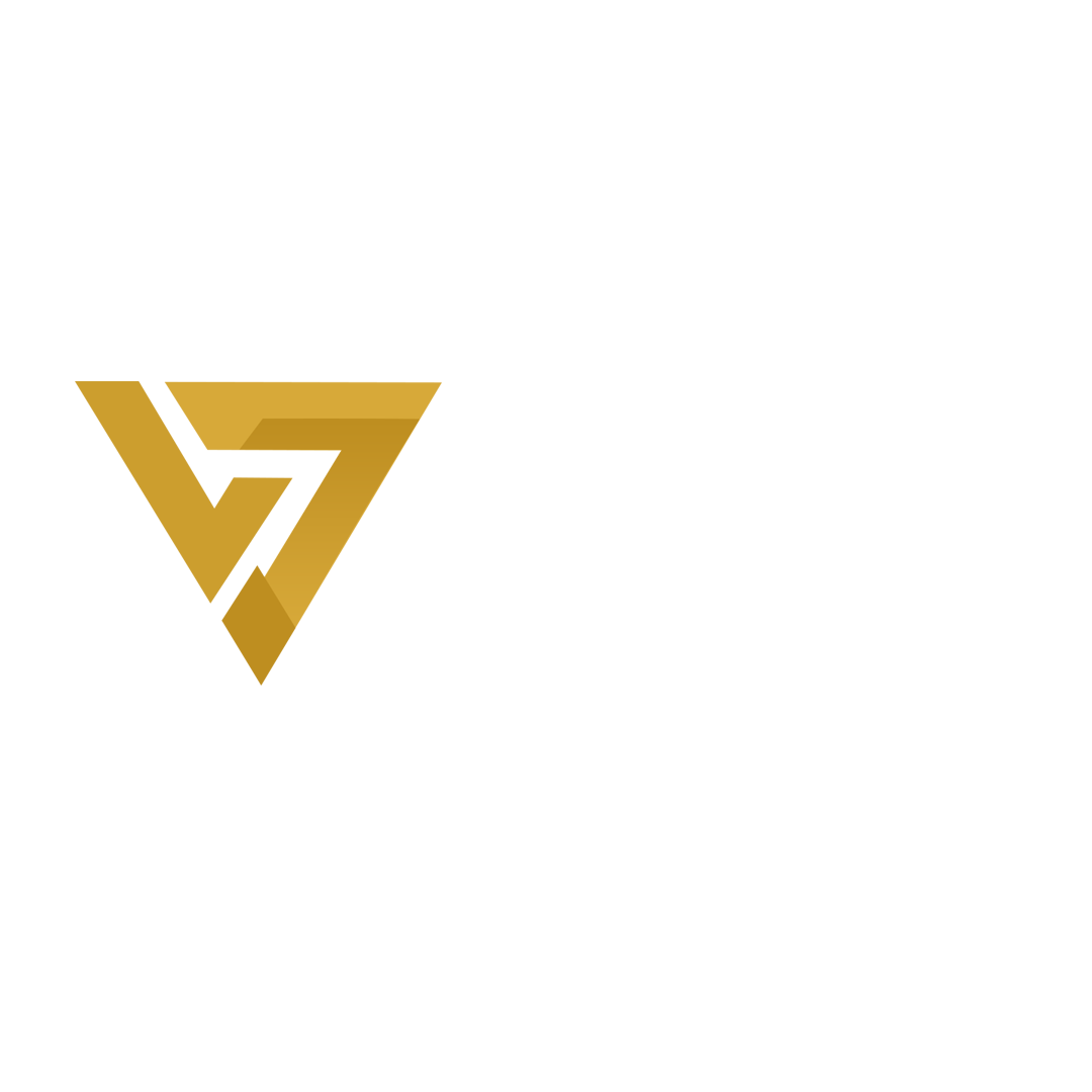 VFC Consultoria